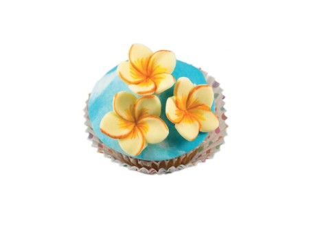 Stampo in silicone FRANGIPANI FLOWER