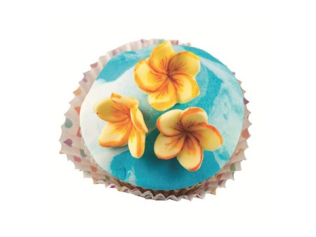 Stampo in silicone MINI FRANGIPANI FLOWER